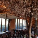 온누리누룽지백숙 하남점 이미지