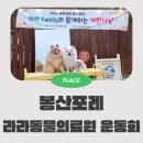 포레동물병원 | 라라동물의료원 강아지 운동회 룰루라라 봄나들이 in 봉산포레