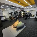 마이 피트니스 이미지