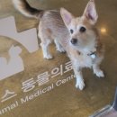 VMS3 이미지