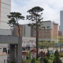 옥길버들초등학교5 이미지