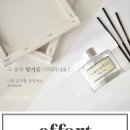 향기365 네이버블로그