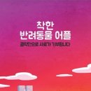 멍스플레이 이미지