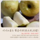 [공지] 시나노골드 황금사과 풍부한 달콤함 인생사과 공구