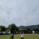 누렁이과수원