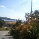 모도민박 이미지