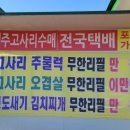 복돼지인생