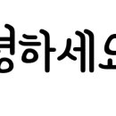 정바다용호동횟집부산숙성회