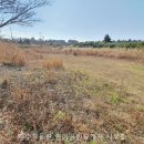 신비부동산공인중개사사무소 이미지