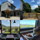 엔도르핀농장 | 제주 서귀포 우연히 방문한 느좋카페 한라산뷰 귤따기 체험 가능한 카페 귤한편