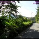 갈지리 이미지