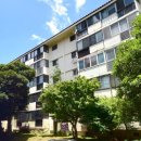 하모리-38 이미지