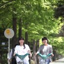 자전거탄풍경 이미지