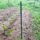 대련농장 이미지