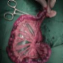 의정부종합동물병원 이미지