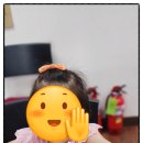 나무상자창의숲 이미지