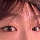 데일리안경원 위드렌즈 이미지