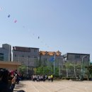 신호초등학교 이미지