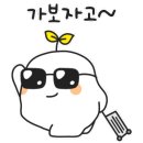 제26회 순천만 갈대축제(가을) 이미지