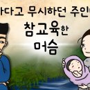 달빛이야기