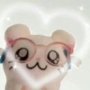 허욱 | 퓌 립앤치크 블러리 푸딩팟 ( 버니🐰, 위드아웃, 그외등등) 비교 후기🎀