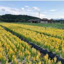 동송민박 이미지