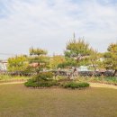 공주시 노인종합복지관 이미지