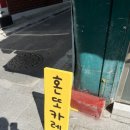 혼또카레 이미지