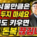 【김형석 교수】 집 안에 이 식물이 있으면 당장 버리세요! 모르고 키우다간 3대가 모은 재물복이 한순간에 무너집니다｜재물운을 막는 의 이미지