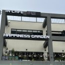 [연수구 송도 꽃집] 행복꽃농원 해피니스가든 금전수, 녹보수 구매 후기