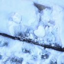 내가 쓴 글이 나를 위로한다(1) | 입춘을 맞이하며 쓴 일기 그리고 진짜 2026