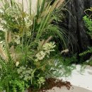 다다플라워 이미지