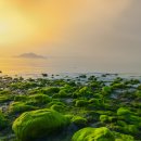 보성바다스토리리조트 이미지