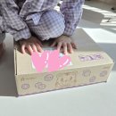아이첼린지 호비 월령프로램 구독 유아 학습지 교구 교재 스텝5 추천