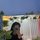 파티스토리 이미지