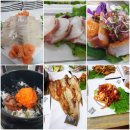 섬마을회정식