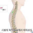 만세정형외과의원 이미지