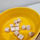 롱런하개 네이버블로그