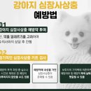 센트럴 동물메디컬센터 네이버블로그