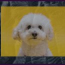 요트올림픽동산지구 이미지