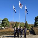 태양처럼 이미지