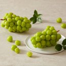 서진농장 | [경기도 농어업소득 333 프로젝트 농가 상품 소개] 서진이네 농장 샤인머스켓