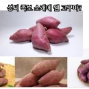 석곡전통시장 | 풍양 조씨(豊壤趙氏), 천년의 역사와 미래를 잇다
