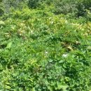 감투봉리조트 이미지