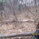 일주 태양광발전소 이미지