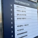 성남클라이밍 락페이스 클라이밍 어린이 체험 후기 : 복장 신발 규칙