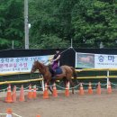 동서울 승마장 이미지