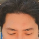 빌라드바비