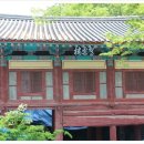 고운사 - 1795 | 고운사