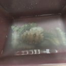 큰어리골 쉼터 이미지